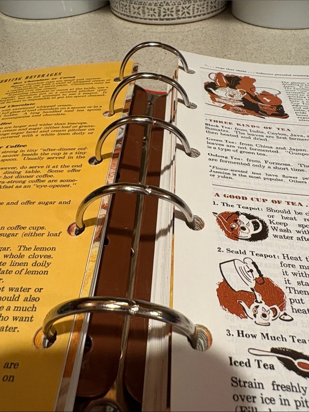 Betty Crocker's Picture Cook Book Binder - Facsimile Edition Cookbook